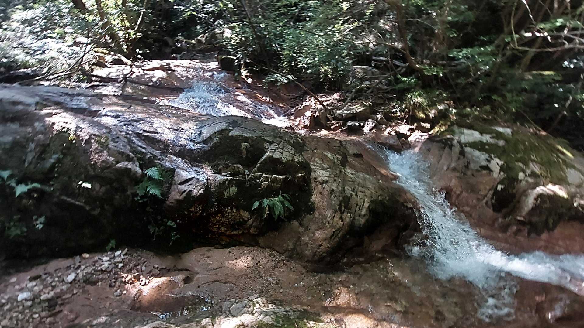 市橋登山口-岩籠山-インディアン平原 往復コースの写真
