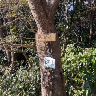 これ以外にも標識がいっぱい