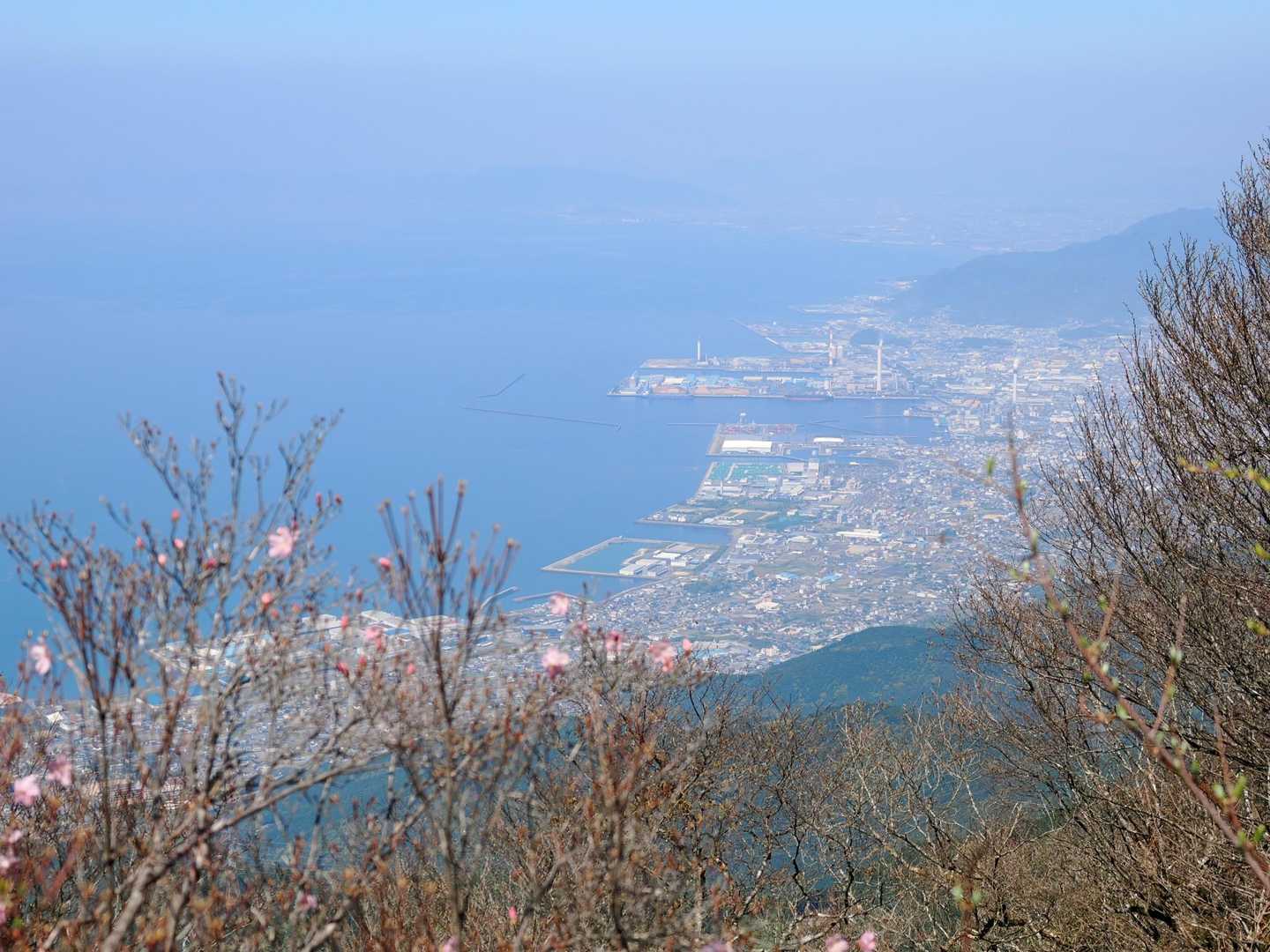 豊受山手前の分岐もアケボノツツジ咲き初め
今年はまずまず綺麗に川之江の街が見えてます🙌
