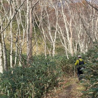すれ違った🏂Sさん。🍁情報ありがとうございました。
時間、ごめんなさい🙏🙇‍♀️