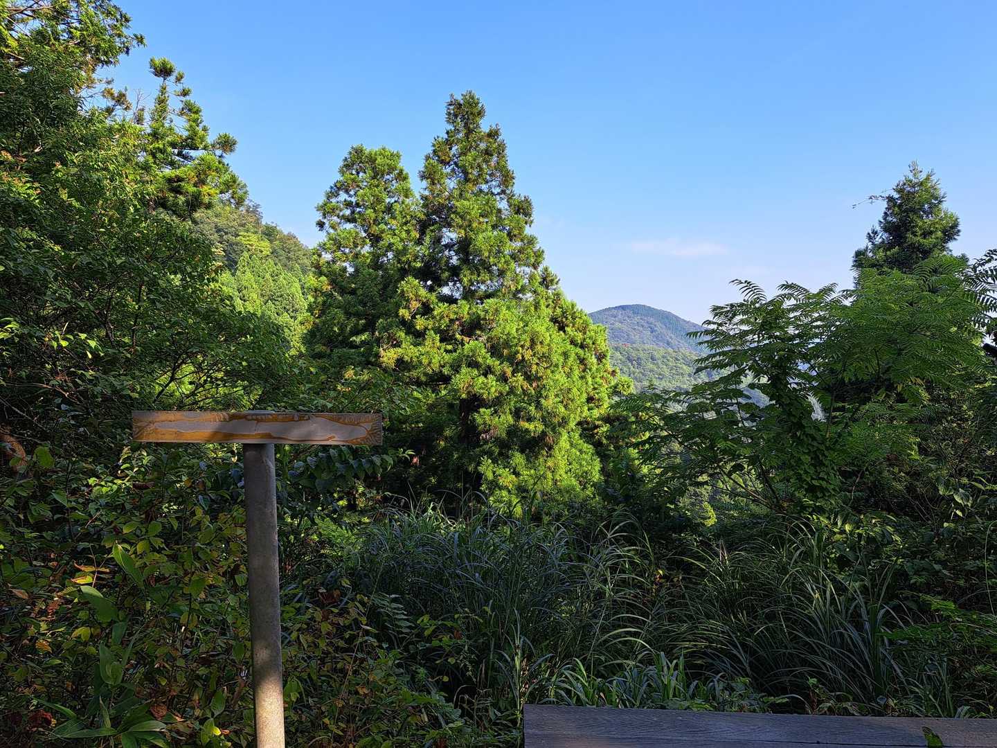 行司岳（右）との分岐
正面に見えるのが三里山⛰️
南三里山（左）

看板が無いよ？