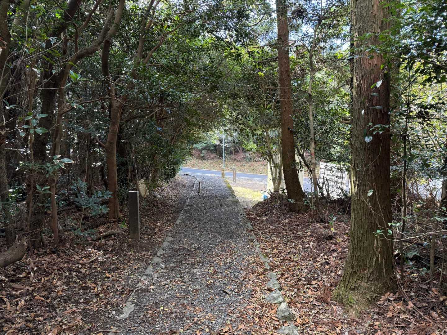 無事下山！
とても整備された
素晴らしい登山道！

と言うより

トレッキングコースですかね！？