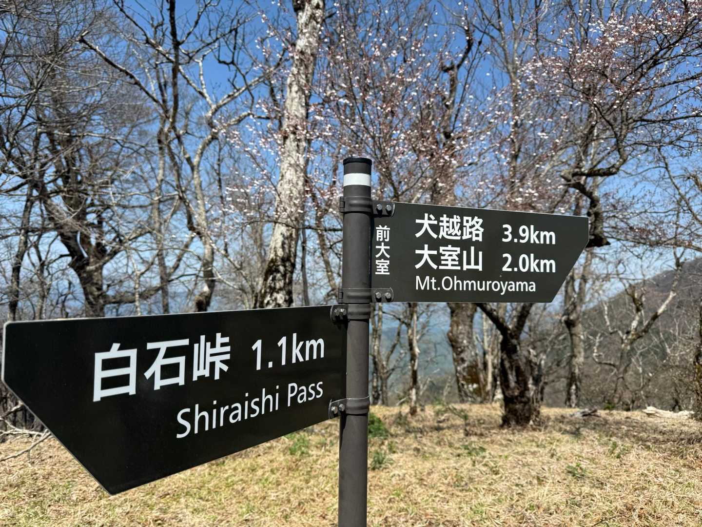 西丹沢ビジターセンターバス停-ツツジ新道入口-犬越路-大杉 周回コースの写真