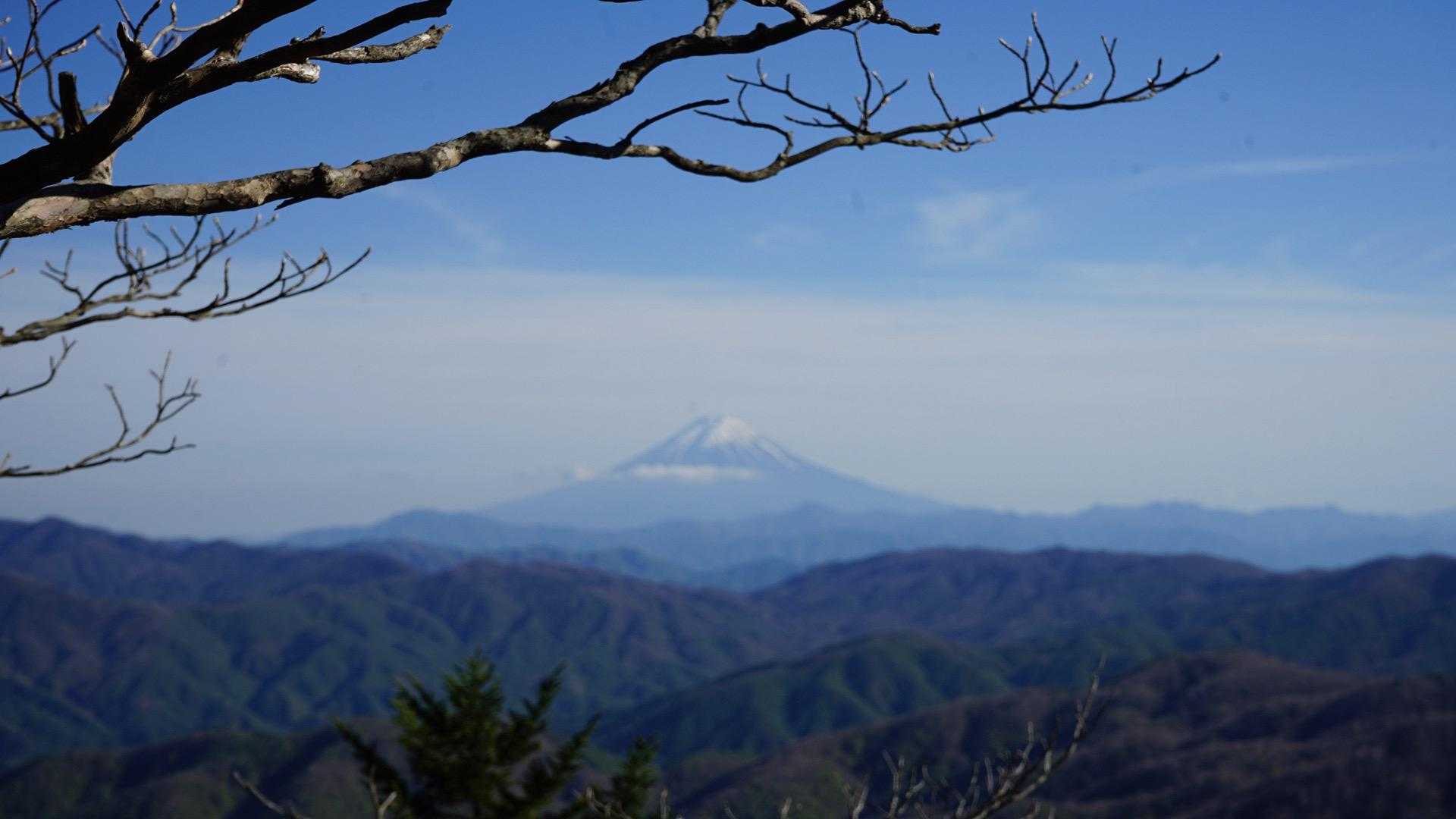 笠取山登山口-笠取山-黒槐ノ頭-唐松尾山-三ノ瀬登山口 周回コースの写真