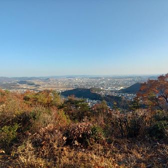 ここで食パン＆魚肉ソーセージをエネルギーチャージ
空はブルースカイ💙ですね～