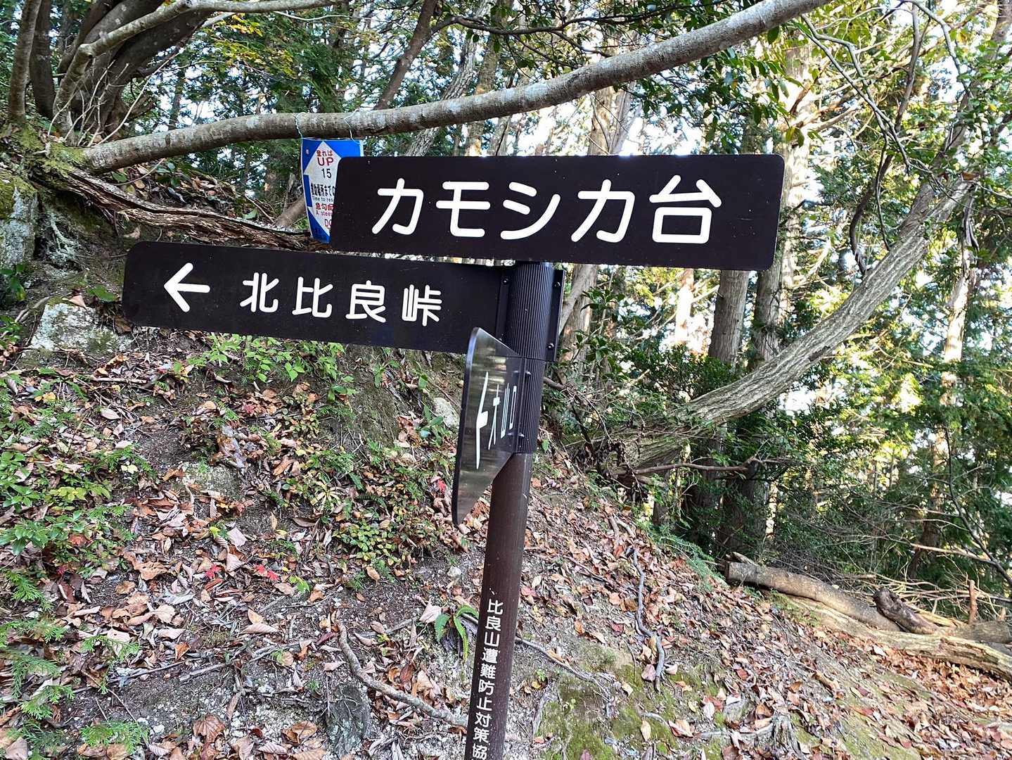 16時の、バスの時間に間に合う様に、カモシカ台から、大山口への、下りは、少し、スピードアップ。
大山口から、バス停までは、走りました💦
🚌にも間に合い、本日の登山も無事に終了。
ありがとうございました😊
