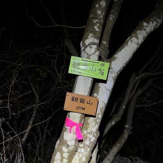 結構ちゃんとしたお山であった😅