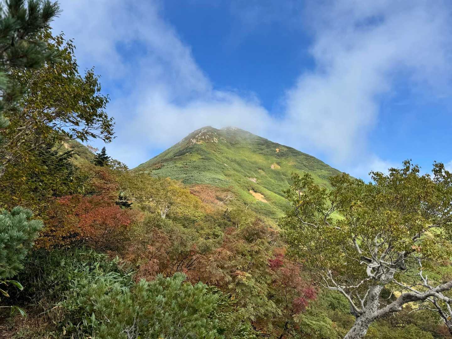 大清水バス停-三平峠-尾瀬沼-燧ヶ岳 往復コースの写真