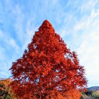 加工しすぎました