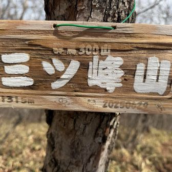 中々の急登を登り切ると…