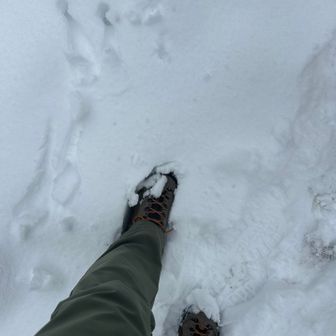 これくらいの雪⬆️