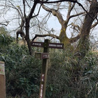 東逗子駅目指して歩きます
歩きやすい道が続きます😊