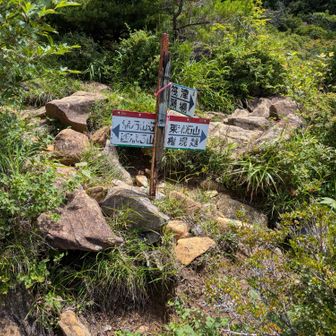 東赤石山と赤石山荘の分岐