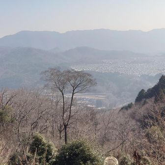 黄砂で霞んでいます