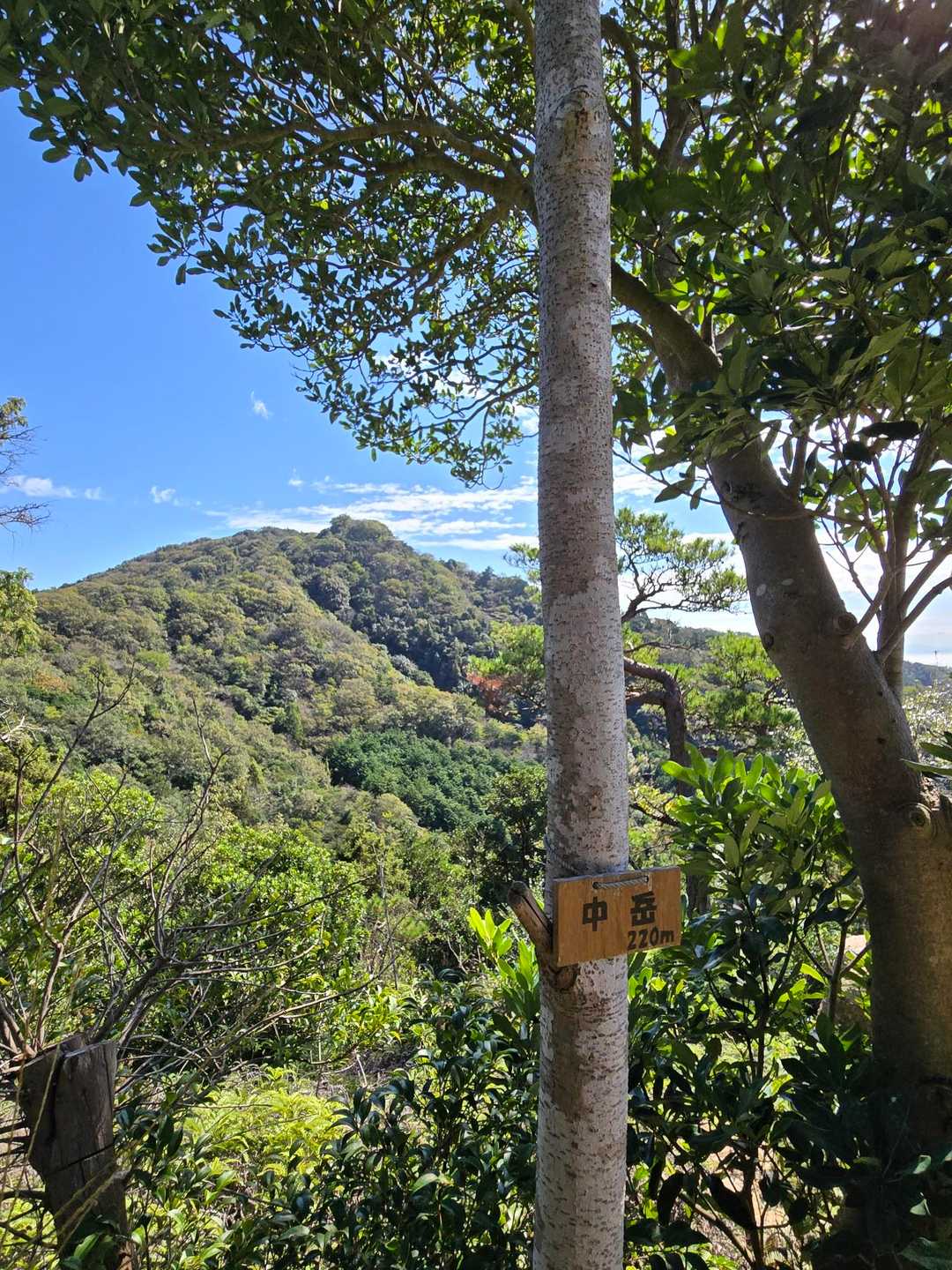 中岳