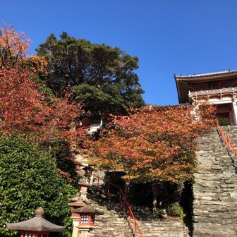 和歌浦天満宮の石段
駆け上がるのはしんどい！