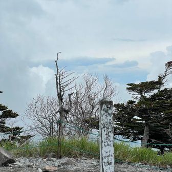とおーーーくは晴れ？