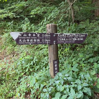 下山🙌
次はユートピア方面に行ってみたいです‼️