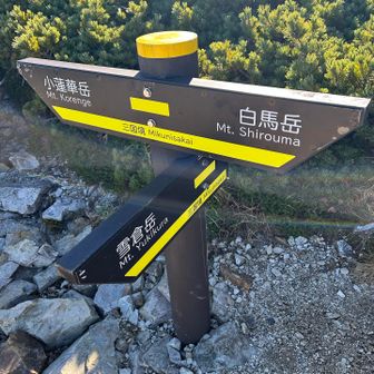 白馬岳はまたの機会に。。