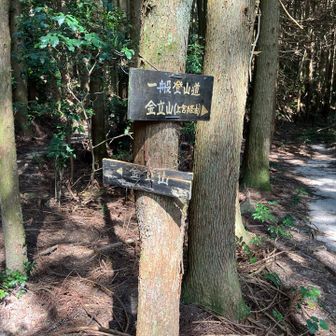 右の金立神社上宮に寄ってみます