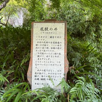 底抜ノ井