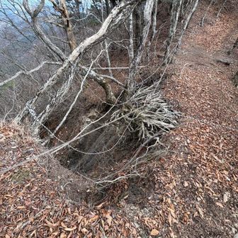 YAMAPの注意書きであった崩落箇所。
ロープが張ってあるからすぐわかります。
けっこう崩れてた。