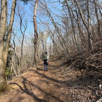 硯上山までは静かな山歩きです