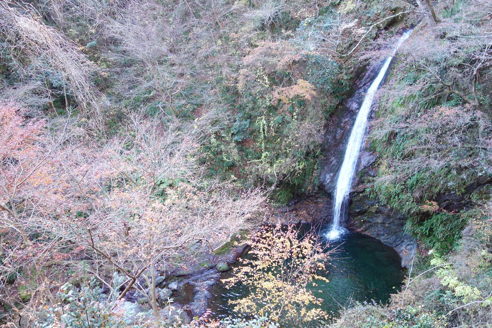 滝周辺の紅葉はおしまい。一年、お疲れ様でした🙇‍♂️