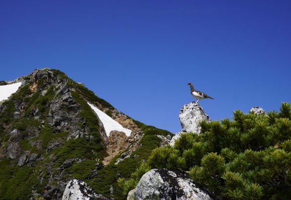 蝶槍（長野・2661m）| 登山ルート・天気 | YAMAP / ヤマップ