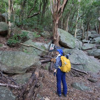 行縢山 滝まであと5分の表示