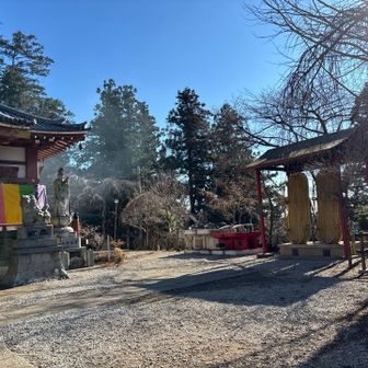天龍寺本堂と大草鞋