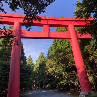 奥宮の大鳥居⛩️