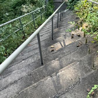 目が回る階段～ᐡ𖦹 ·̫ 𖦹ᐡ