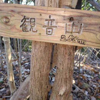 観音山経由で周回します