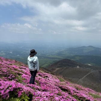 やまりん