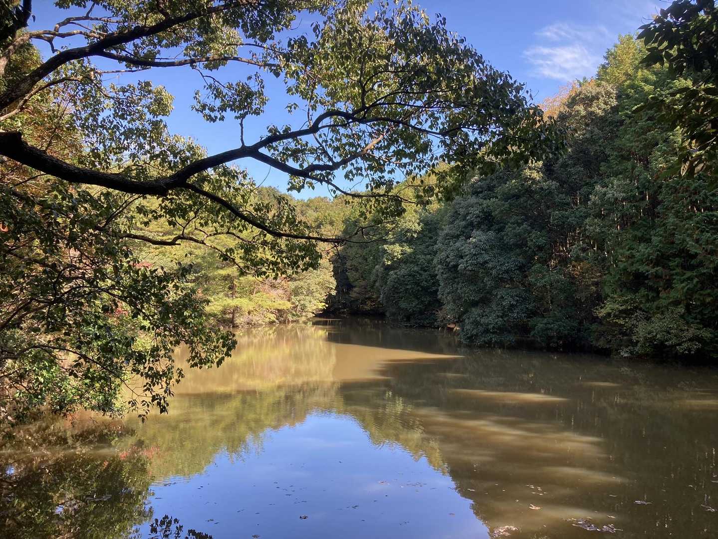 二又池の紅葉🍁