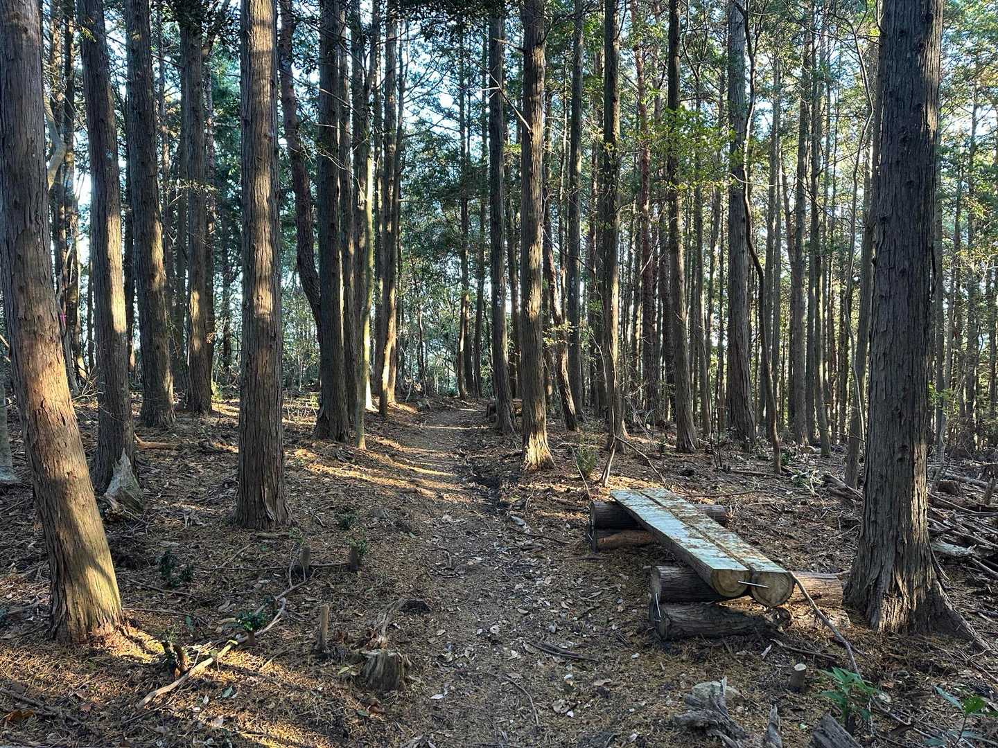 帝釈山に向かう途中に西帝釈山のピークがありますが、山名板など何もナシ､､､😅