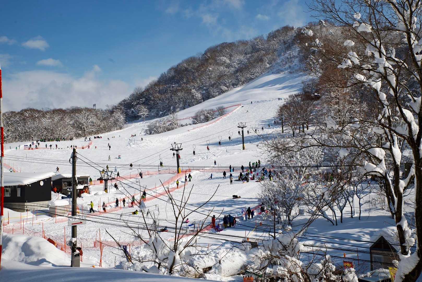 医王山スキー場賑わってる
