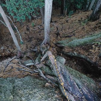 短いですがこんなところもあります。
ご注意を。