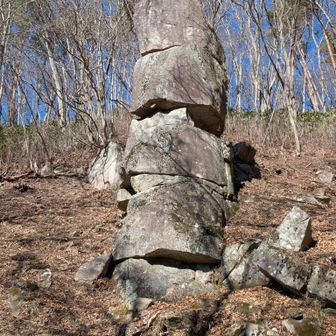 別角度から
自然の造形🗿