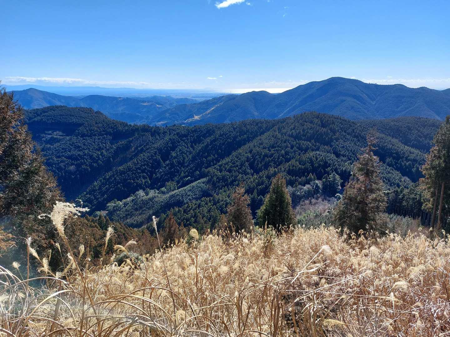 右奥は経塚山かな。