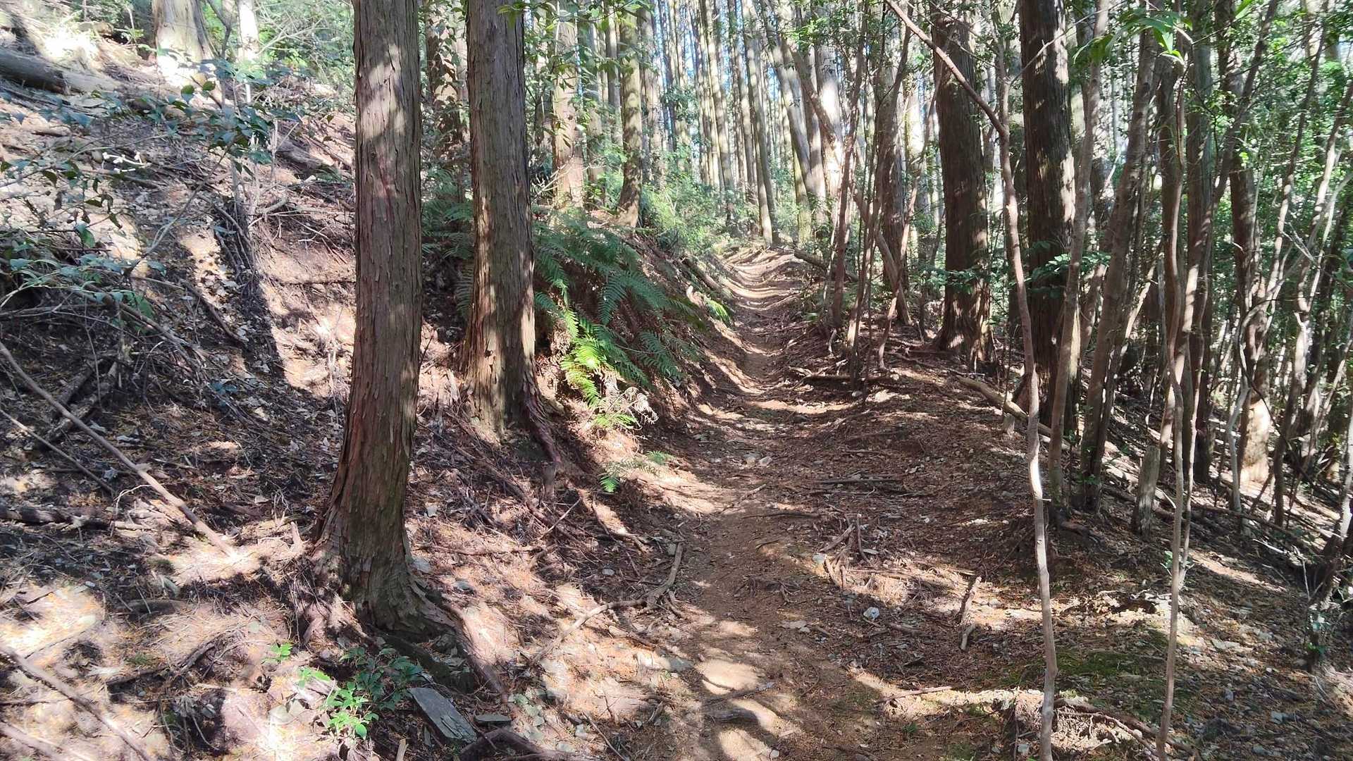赤薮山登り口-赤薮山 往復コースの写真