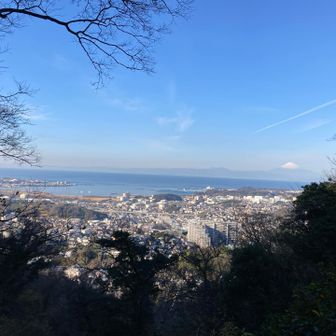 相模湾と富士山🗻
