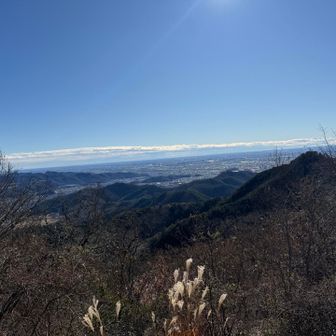 景色③
東京方面
お、見える😳　