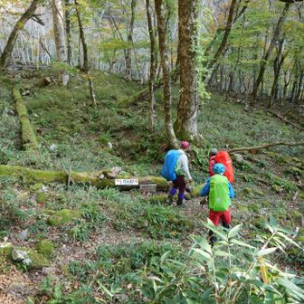 楽古岳登山道入り口まで来ました・・