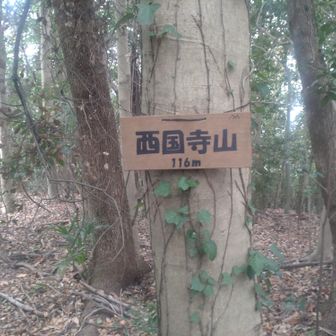 西国寺山の山頂は展望なしです