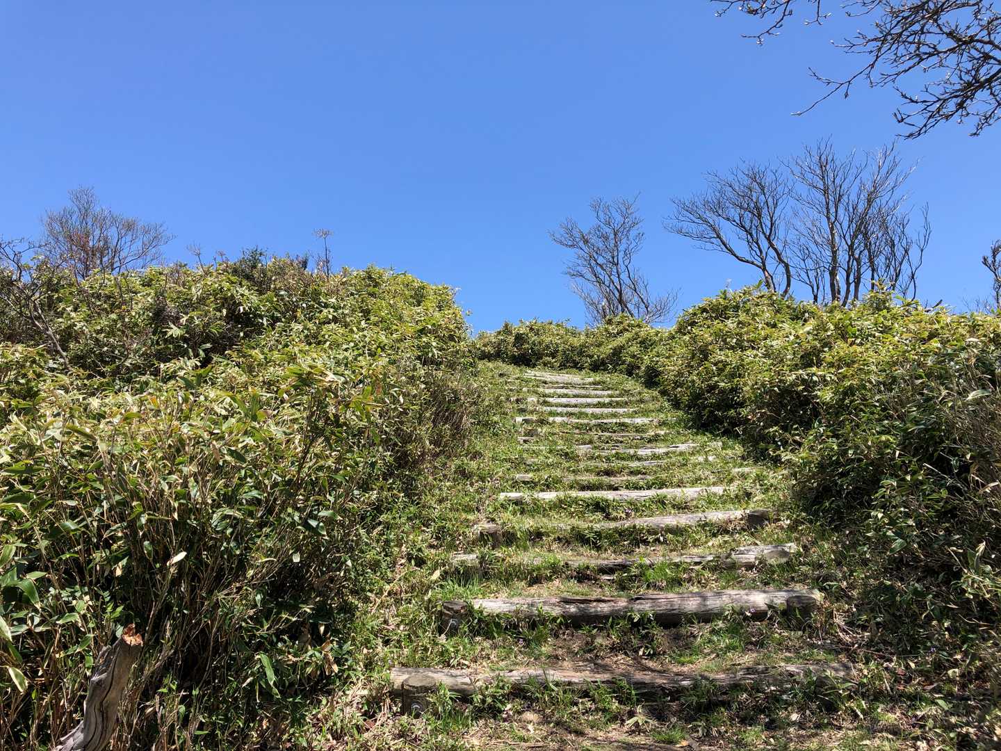 ゆるいupdownを繰り返しながら那岐山に近づきます