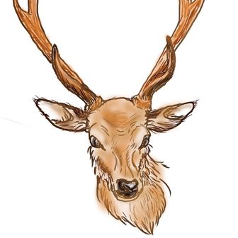 角角鹿鹿鹿でなし（かくかくしかじかろくでなし）