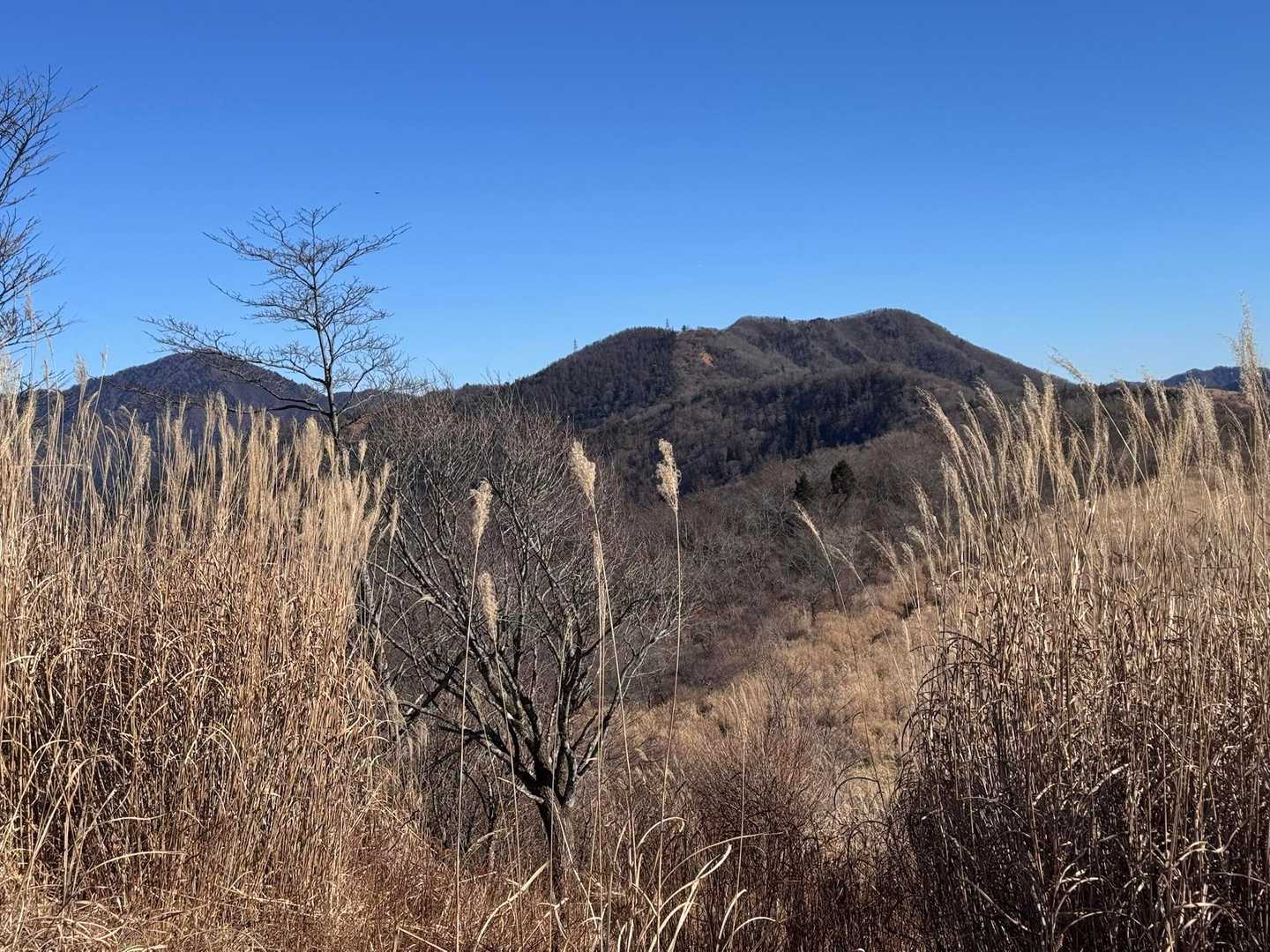 あそこは友人を待たせている石割山だよね⛰️？

体調が本調子ではないと言っていたので、本日は軽い山行計画だったけど、息子が体力有り余っていて先頭でペースアップしてしまったので、無理させてしまったかなぁ…もっとゆっくりだったらみんなでここまで来れたかなぁ…
待ってて友人〜っっ！急いで石割山に向かうねー！！🥾