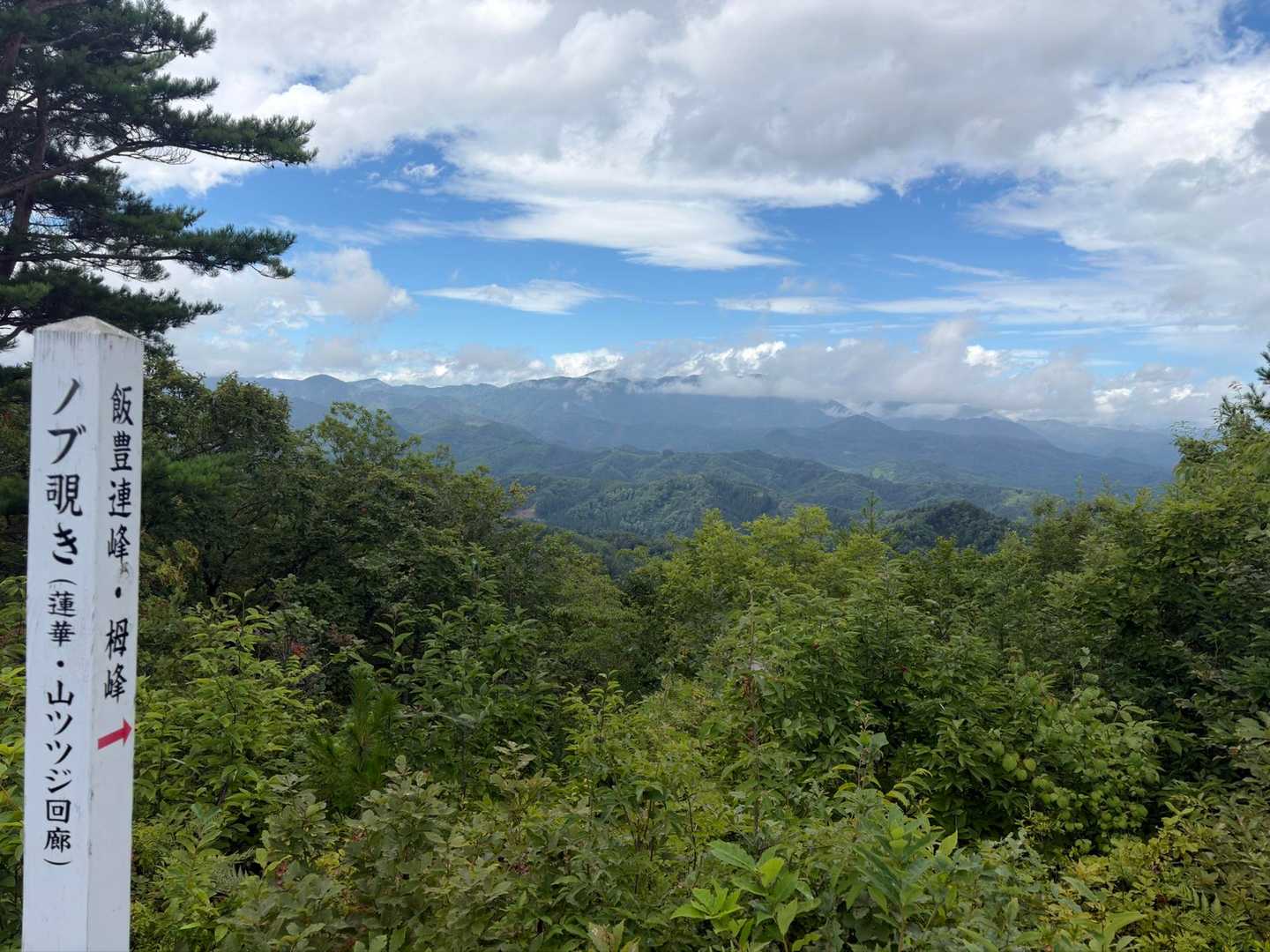羽山-愛宕山-笹野山 往復コースの写真